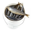 LOW SALTED WHOLE HERRING